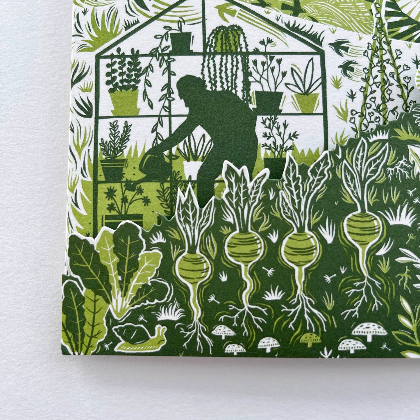 Concertina Card - Allotment