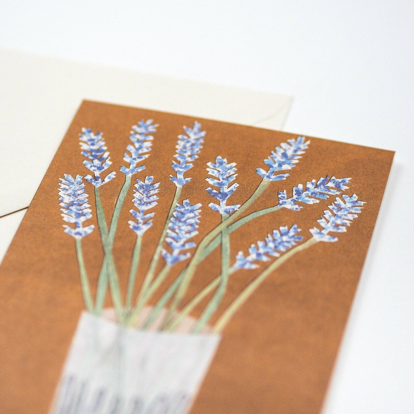 Lavender