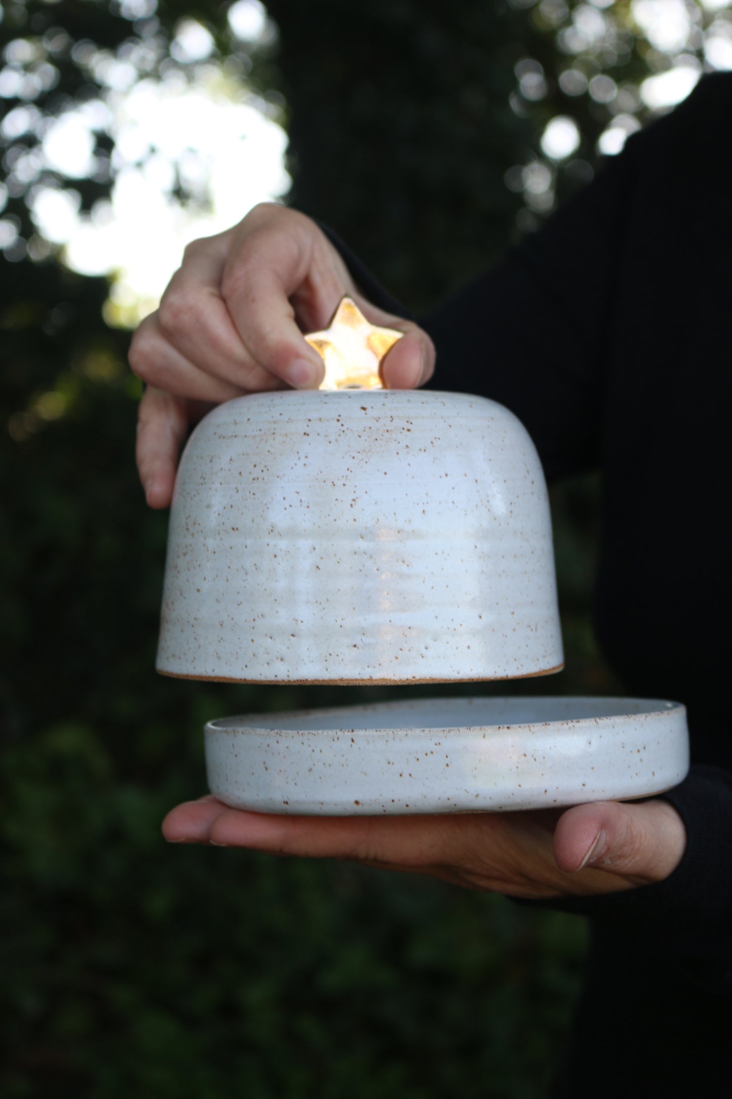 Gold Star Butter Dish