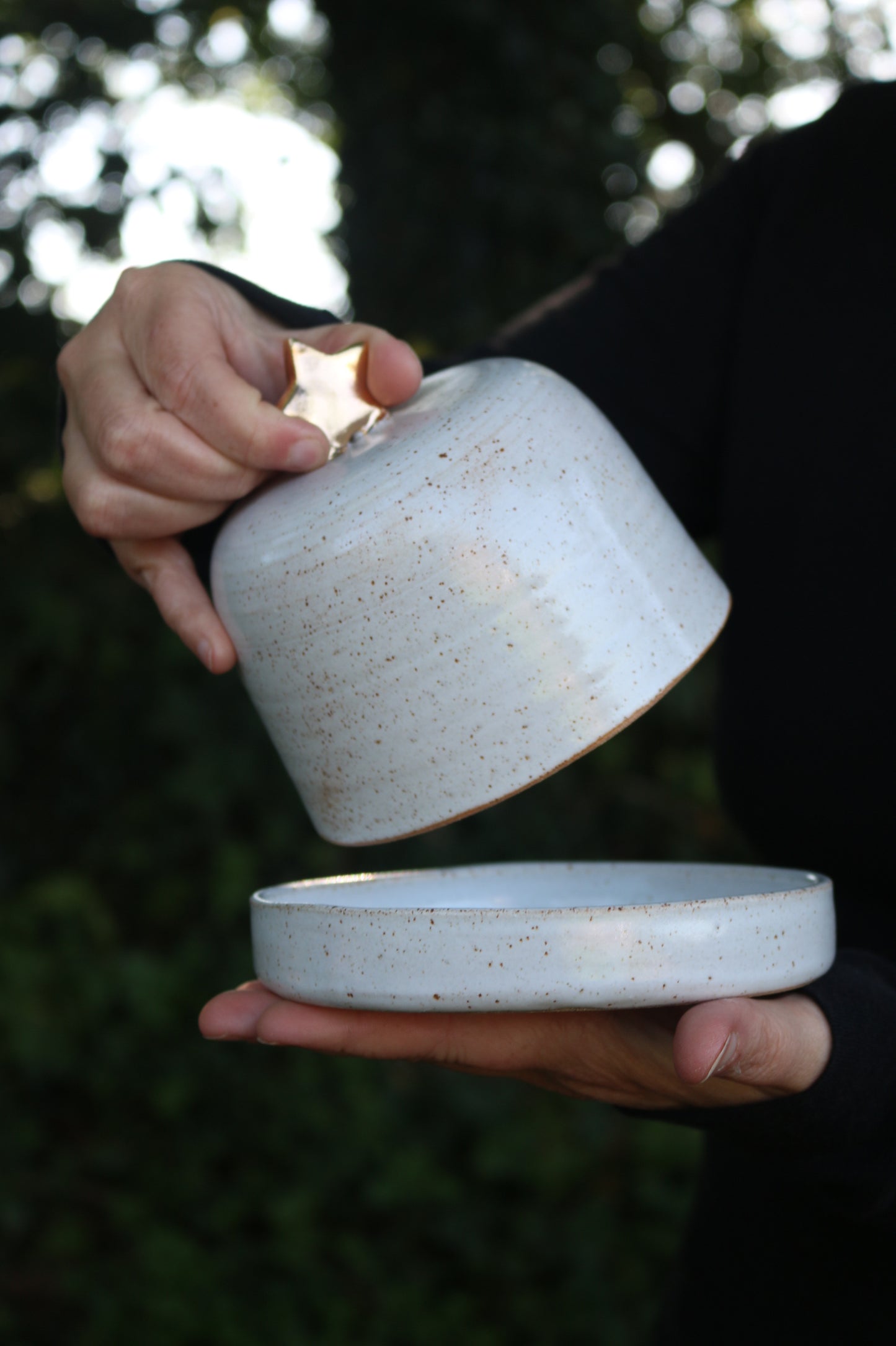 Gold Star Butter Dish