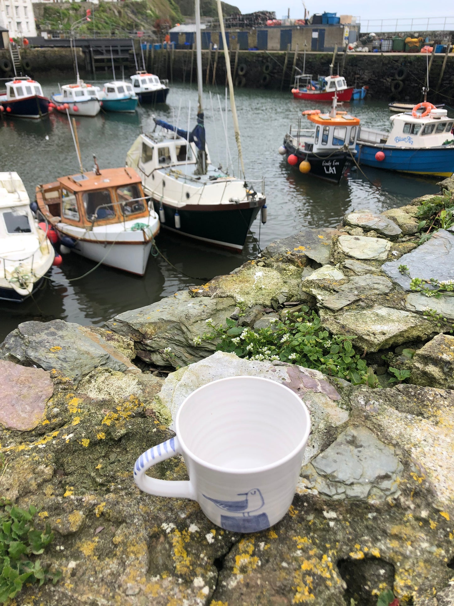 Seagull Mug “I will steal your chips”