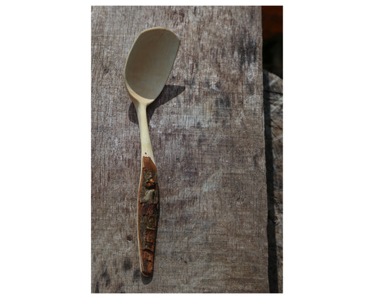 Hawthorne bent branch eating spoon