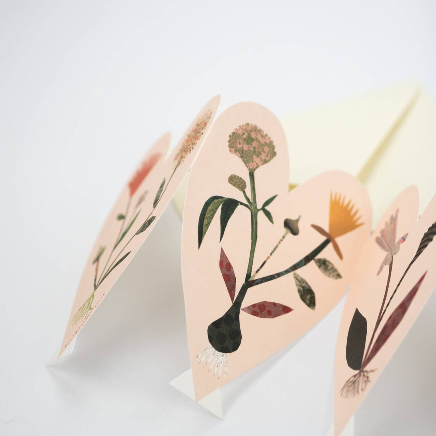 Hearts Concertina