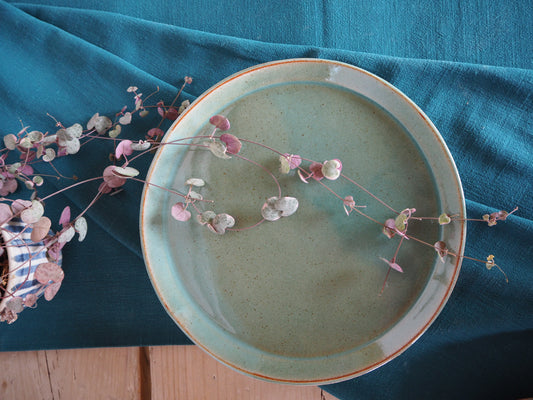 Large Dinner Plates